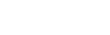 ZUI